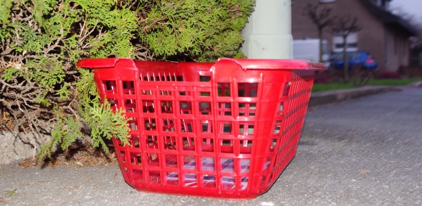 Tierschützer warnen vor Katzenfänger. Foto: Laame