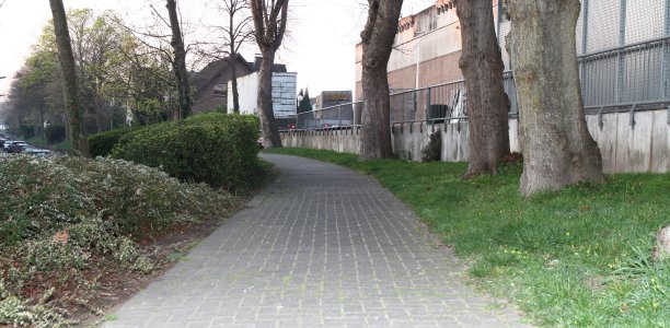 Vorsicht vor Giftködern im Bereich der Westmauer. Foto: Laame