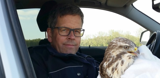 Mäusebussard fährt im Streifenwagen mit. Foto: Polizei Soest