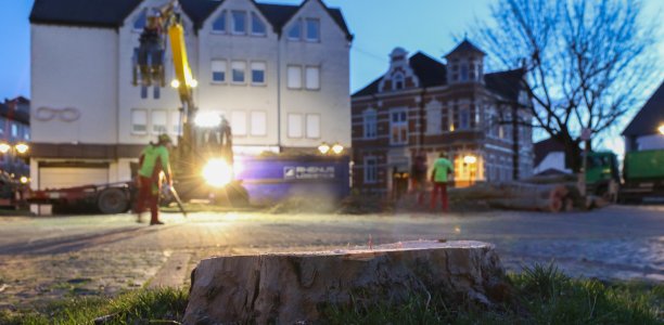 Kahlschlag am Marktplatz: Die Bäume wurden heute gefällt. Foto: Laame